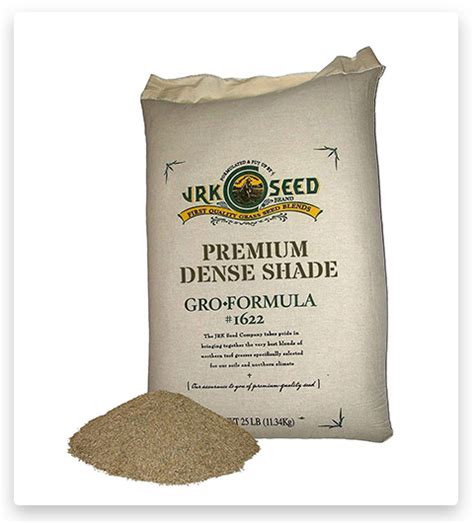 Best Grass Seed For Shade Area 2023 | Grass Seed For Sun And Shade