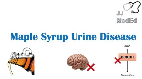 Maple Syrup Urine Disease | Pathogenesis, Signs & Symptoms, Subtypes, Diagnosis and Treatment ...