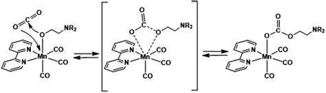 CO 2 capture by Mn( i ) and Re( i ) complexes with a deprotonated triethanolamine ligand ...