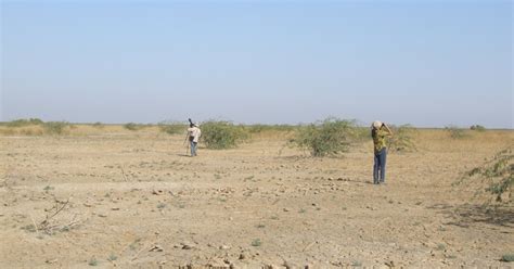 Beautiful Kutch: Banni grasslands