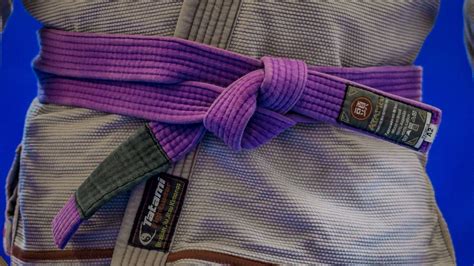 BJJ Purple Belt Requirements And Curriculum - BJJ World