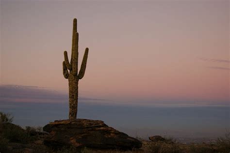 South Mountain Park: Phoenix Attractions Review - 10Best Experts and Tourist Reviews