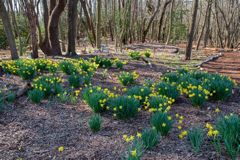 Our Gardens — Delaware Botanic Gardens