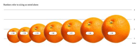 Citrus Buying Guide: Sizes, Types/Varieties, Grading | US Foods