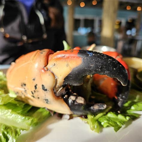 Best Sarasota, Bradenton restaurants for Florida stone crab, seafood