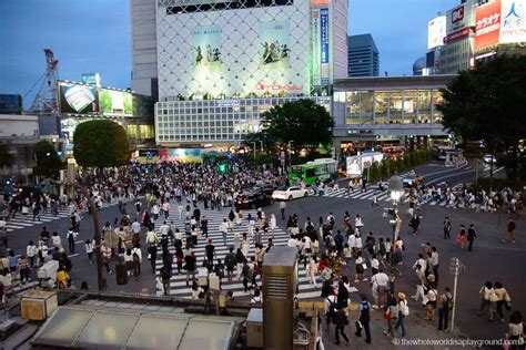 6 Best Photo Locations at Shibuya Crossing (2023) | The Whole World Is ...