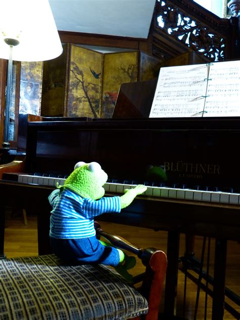 Free Images : technology, play, concert, piano, musician, frog ...