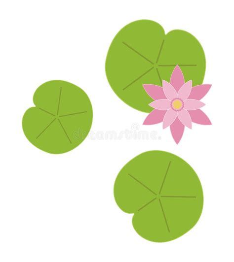 Lily pad leaf flower stock vector. Illustration of bloom - 224736481