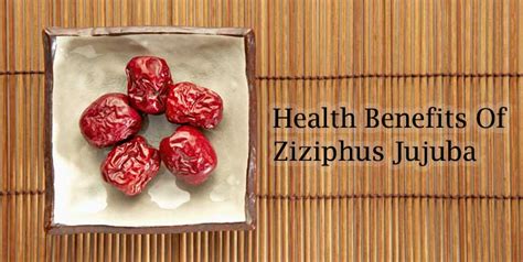 12 Health Benefits Of Ziziphus Jujuba, Role in Ancient Medicine