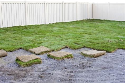 How Thick Is Sod Usually Cut? | Obsessed Lawn