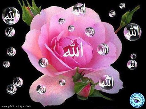 Beautiful Allah Names Wallpapers - WallpaperSafari