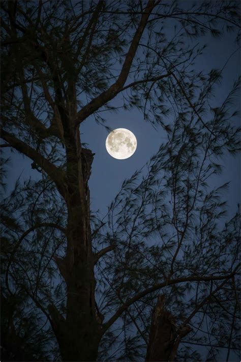 Thailand | Mondfotografie, Mond fotografie, Hintergrund