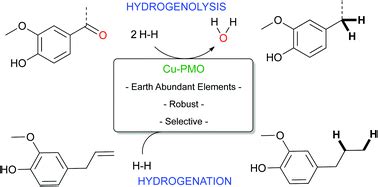 Highly selective hydrogenation and hydrogenolysis using a copper-doped porous metal oxide ...