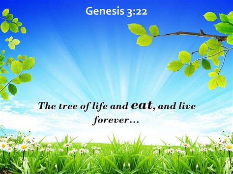 Genesis 3 22 The Tree Of Life And Eat Powerpoint Church Sermon ...