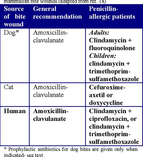 What Is Best Antibiotic For Dog Bite