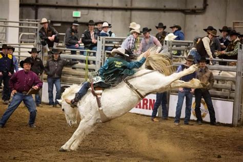 Colorado State partners with LEARFIELD on College Rodeo business