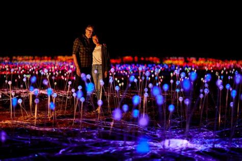 Uluru: Field of Light Sunrise Tour with Hot Drinks | GetYourGuide