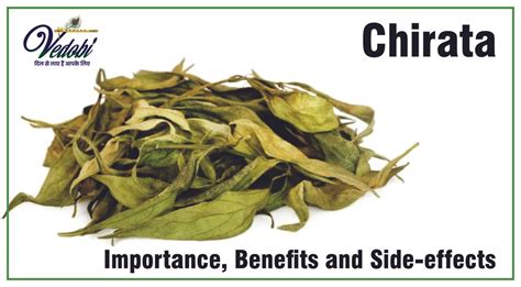 Vedobi - Chirata: Importance, Benefits, and Side-effects