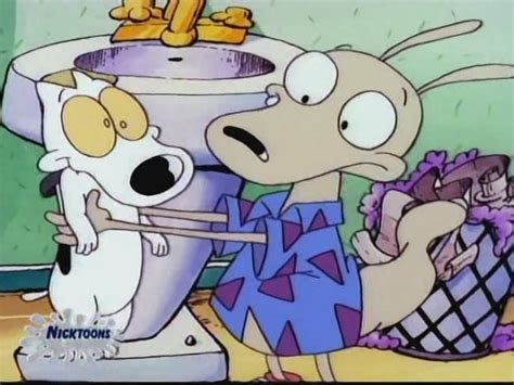 Rocko's Modern Life-Rocko Spunky by GiuseppeDiRosso on DeviantArt