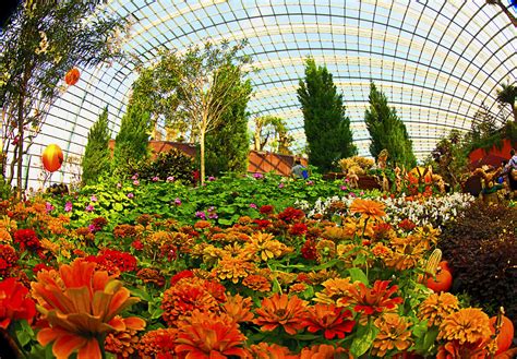 Flower Dome at Gardens By The Bay - Singapore | The Cool-Dry… | Flickr