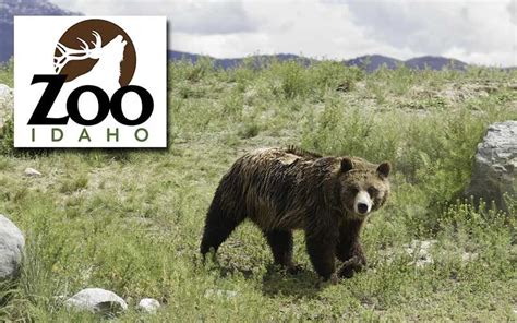 Zoo Idaho in Pocatello opens for the season - East Idaho News