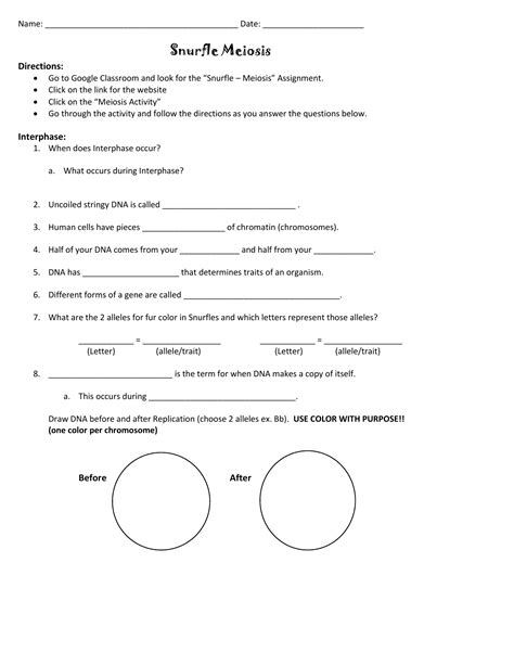 Snurfle Meiosis Worksheet Answers Pdf – Askworksheet