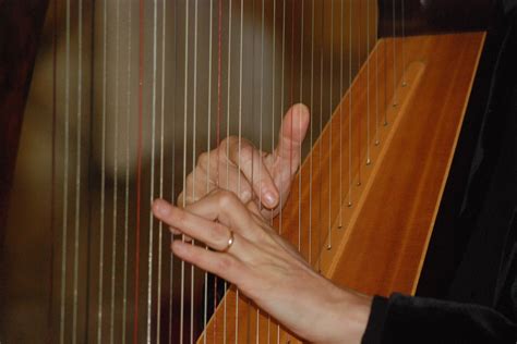 Celtic harp,hands,sound,concert,music - free image from needpix.com