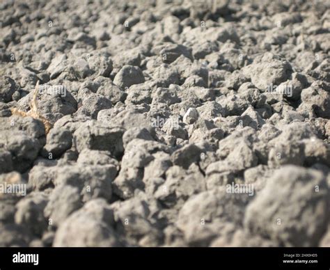 close up of coarse soil Stock Photo - Alamy