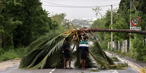 Cyclone Belal in Reunion Island: the worst has been avoided, the island is seeing the damage ...