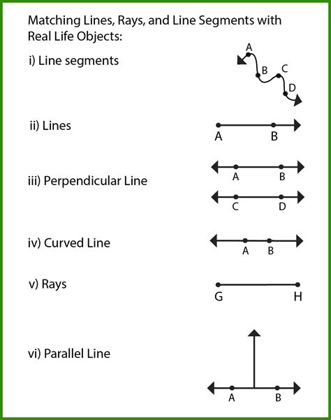 Free Lines Rays and Line Segments Worksheet | 10+ Pages