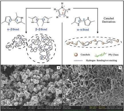 A Facile In Situ Approach to Polypyrrole Functionalization Through Bioinspired Catechols - Zhang ...