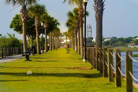 Pitt Street Bridge - All You Need to Know BEFORE You Go (2024)