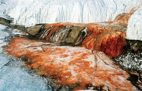 Mysterious Blood Falls In Antarctica, Is It True? - World Wide Stories