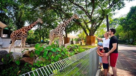 ZOO NEGARA | Attractions near Sunway Resort