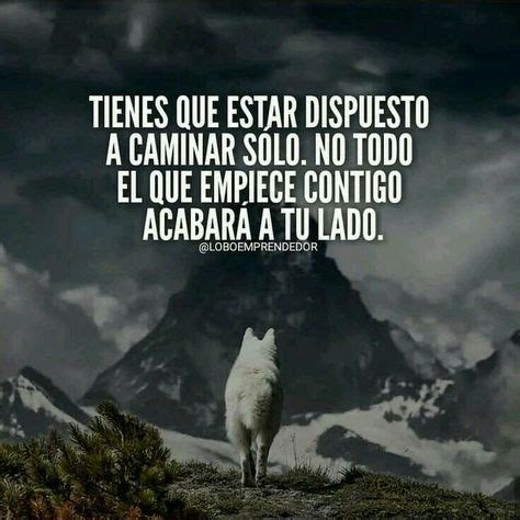 60+ ideas de Lobo solitario | diario de un lobo, frases de lobos ...