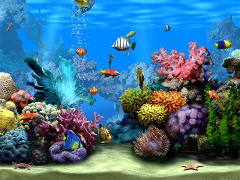 Free download SCREENSAVER ACQUARIO 3D [1024x768] for your Desktop ...