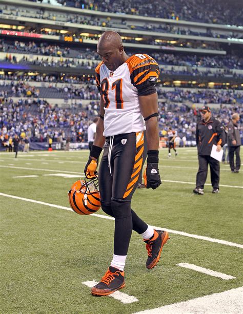 Terrell Owens: 4 NFL Teams He Could Be Playing for in 2011 | News ...