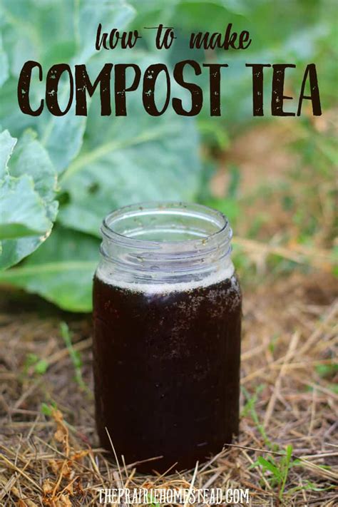 How to Make Compost Tea • The Prairie Homestead