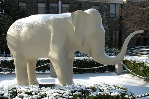 Jumbo (The Tufts Mascot) | Flickr - Photo Sharing!