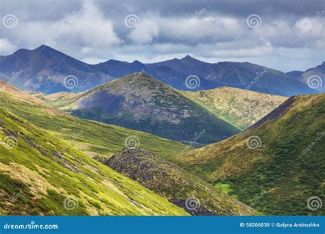 Polar tundra stock photo. Image of scenery, lichen, serenity - 58206038