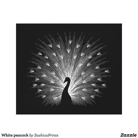 White peacock canvas print | Zazzle.com | Peacock canvas, Black canvas art, Black canvas paintings