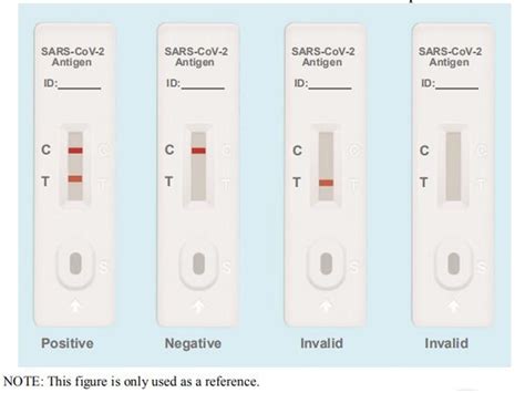 SARS-CoV-2 Antigen Rapid Test Kit - Elabscience®