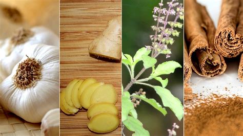 Seven Magical Herbs To Boost Your Immunity This Winter