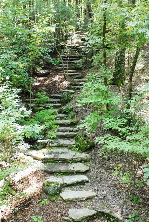 10+ Mysterious Random Staircases in the Woods From Reddit