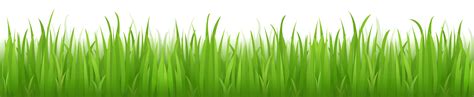 Green grass clipart - Clipground