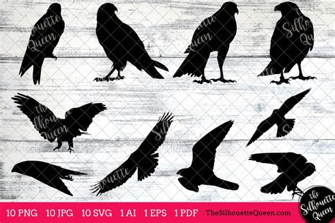 Peregrine Falcon Silhouettes Clipart Clip Art(AI, EPS, SVGs, JPGs, PNGs, PDF), Falcon Clip Art ...