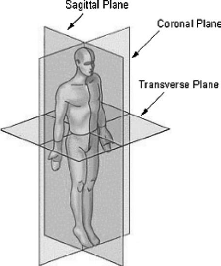 Definitions of the three orthogonal planes