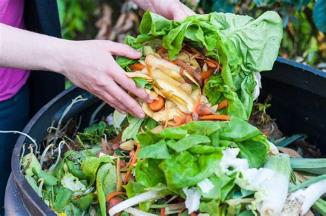 6 Steps to Make Compost From Your Kitchen Waste!