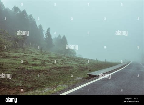 The road in the foggy forest Stock Photo - Alamy