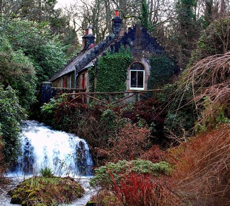 Hidden Scottish woodland cottage and waterfall | Woodland cottage, Cottage in the woods ...